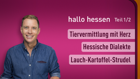 Moderator Jens Kölker sowie die Themen bei "hallo hessen" am 25.09.2023: Tiervermittlung mit Herz, Hessische Dialekte, Lauch-Kartoffel-Strudel
