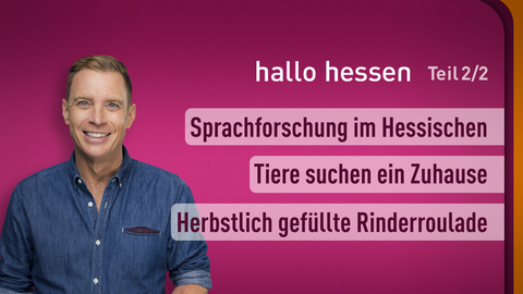 Moderator Jens Kölker sowie die Themen bei "hallo hessen" am 25.09.2023: Sprachforschung im Hessischen, Tiere suchen ein Zuhause, Herbstlich gefüllte Rinderroulade
