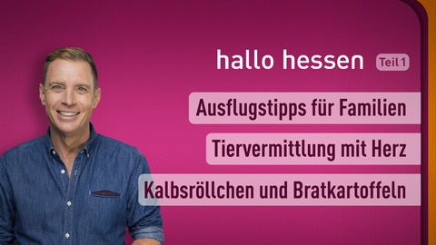 Moderator Jens Kölker sowie die Themen nbei "hallo hessen" am 27.03.2023: Ausflugstipps für Familien, Tiervermittlung mit Herz, Kalbsröllchen und Bratkartoffeln