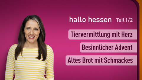 Moderatorin Selma Üsük sowie die Themen bei "hallo hessen" am 27.11.2023: Tiervermittlung mit Herz, Besinnlicher Advent, Altes Brot mit Schmackes 