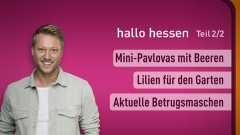 Moderator Jens Pflüger sowie die Themen bei "hallo hessen" am 29.06.2023: Mini-Pavlovas mit Beeren, Lilien für den Garten, Aktuelle Betrugsmaschen 