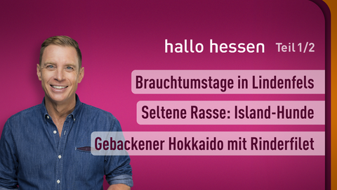 Moderator Jens Kölker sowie die Themen bei "hallo hessen" am 29.09.2023: Brauchtumstage in Lindenfels, Seltene Rass: Island-Hunde, Gebackener Hokkaido mit Rinderfilet 
