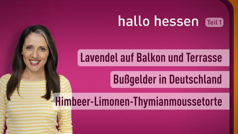 Moderatorin Selma Üsüsk sowie die Themen bei "hallo hessen" am 30.06.2022: Lavendel auf Balkon und Terasse, Bußgelder in Deutschland, Himbeer-Limonen-Thymianmoussetorte 