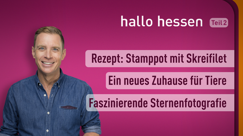 Moderator Jens Kölker sowie die Themen bei "Hallo Hessen" am 10.01.2022: Rezept: Stamppot mir Skreifilet, Ein neues Zuhause für Tiere, Faszinierende Sternenfotografie 
