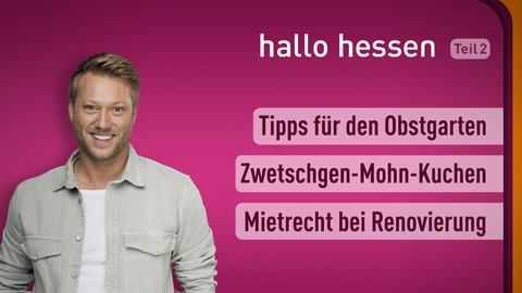 "hallo hessen"- Moderator Jens Pflüger mit den Themen der Sendung vom 14.09.2023: Tipps für den Obstgarten, Rezept: Apfelweinkuchen, Tippszum Mietrecht