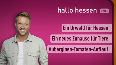 Moderator Jens Pflüger sowie die Themen bei "Hallo Hessen" am 25.04.2022: Ein Urwald in Hessen, Ein neues Zuhause für Tiere, Auberginen-Tomaten-Auflauf 