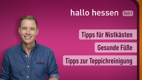 Moderator Jens Kölker sowie die Themen bei "Hallo Hessen" am 16.02.2022: Tipps für Nistkästen, Gesunde Füße, Tipps zur Teppichreinigung