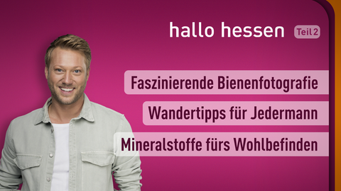 Moderator Jens Pflüger sowie die Themen bei "hallo hessen" am 27.04.2022: Faszinierende Bienenfotografie, Wandertipps für Jedermann, Mineralstoffe fürs Wohlbefinden
