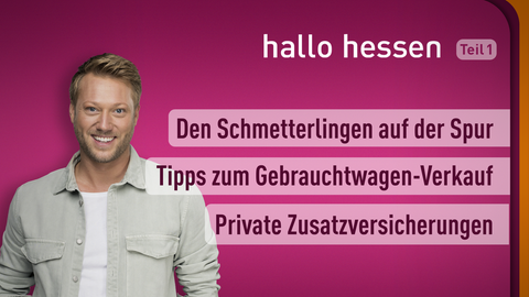 Moderator Jens Pflüger sowie die Themen bei "hallo hessen" am 17.05.2022 : Den Schmetterlingen auf der Spur, Tipps zum Gebrauchtwagen-Verkauf, Private Zusatzversicherungen