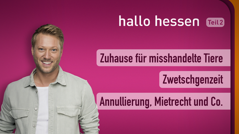 Moderator Jens Pflüger sowie die Themen bei "hallo hessen" am 26.07.2022: Zuhause für misshandelte Tiere, Zwetschgenzeit, Annullierung, Mietrecht und Co.