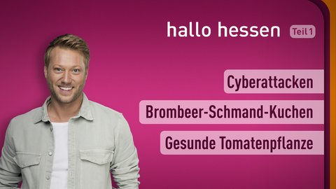 Moderator Jens Pflüger sowie die Themen bei "hallo hessen" am 28.07.2022: Cyberattacken, Brombeer-Schmand-Kuchen, Gesunde Tomatenpflanze