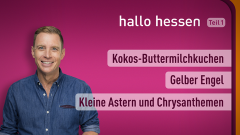 Moderator Jens Kölker sowie die Thmene bei "hallo hessen" am 08.09.2022: Kokos-Buttermilchkuchen, Gelber Engel, Kleine Astern und Chrysanthemen