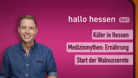 Moderator Jens Kölker sowie die Themen bei "hallo hessen" am 21.09.2022: Käfer in Hessen, Medizinmythen: Ernährung, Start der Walnussernte