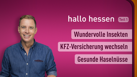 Moderator Jens Kölker sowie Themen bei "hallo hessen" am 01.11.2022: WUndervolle Insekten, KFZ-Versicherung wechseln, Gesunde Haselnüsse
