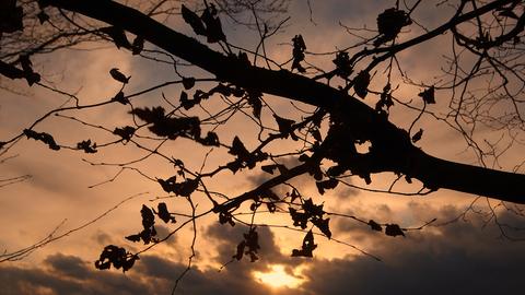 Wetter-Bilder Jörg Döringer aus Schwalmstadt