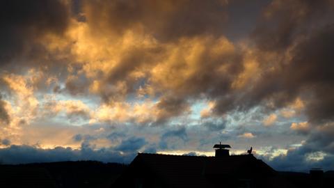 Wetterfotos hallo hessen - März 2020