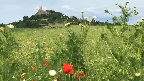 Wetter-Bilder Dorle Hesse aus Gießen
