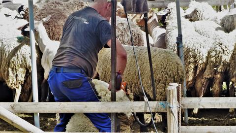 Wetter-Bilder Erich Müller aus Siegbach