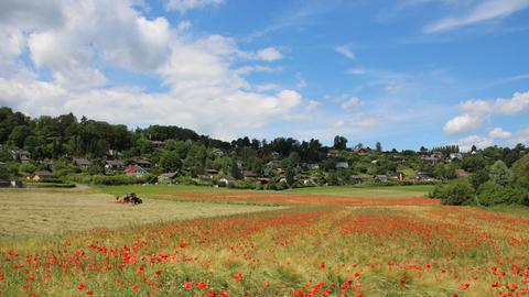 Wetter-Bilder Kathrin Wenzel aus Battenberg