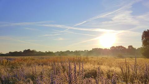 Wetter-Bilder Nicole Kroetic aus Offenbach
