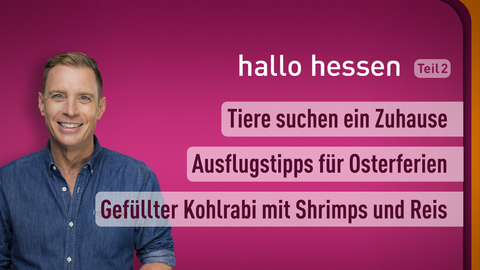 Moderator Jens Kölker sowie die Themen bei "hallo hessen" am 27.03.2023: Tiere suchen ein Zuhause, Ausflugstipps für Osterferien, Gefüllter Kohlrabi mit Shrimps und Reis 