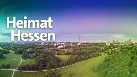 Eine Aufnahme aus der Ferne von der Frankfurter Skyline und grüne Landschaft