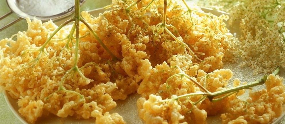 Rezept: Holunderblüten im Bierteig (Hollerküchle) | hr-fernsehen.de ...