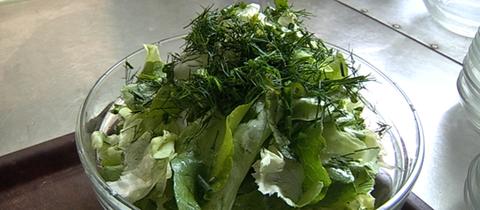 Kopfsalat mit Omas Salatsoße