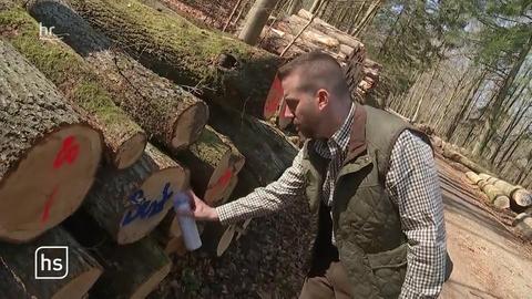 hessenschau von 16:45 Uhr