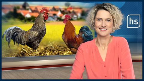 hessenschau vom 15.08.2021