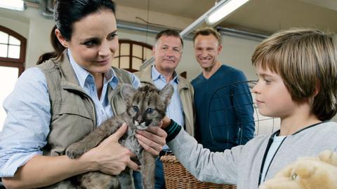 Roland (Thomas Rühmann) und Martin (Bernhard Bettermann) hoffen, dass die Tierärztin Dr. Mertens (Elisabeth Lanz) den kleinen Tim (Bennet Meyer) von seinem Unfalltrauma befreien kann.