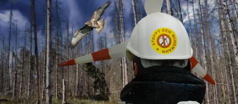 Collage: Windpark-Gegner steht mit dem Rücken vor einem kahlgeschlagenen Wald, links ein gefährdeter Vogel. 