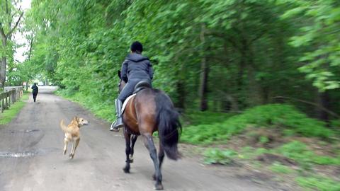 Verfolgunsgjagd mit dem Pferd