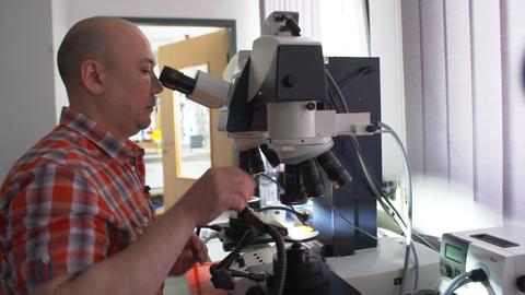 Eine Person untersucht Werkzeugspuren unter einem Mikroskop.