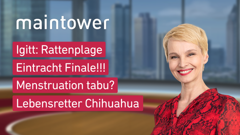 Susann Atwell und die Themen von "maintower" am 18. Mai: Igitt: Rattenplage, Eintracht Finale!!!, Menstruation tabu, Lebensretter Chihuahua