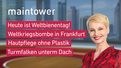Die Themen bei "maintower" am 20. Mai: Heute ist Weltbienentag!, Weltkriegsbombe in Frankfurt, Hautpflege ohne Plastik, Turmfalken unterm Dach