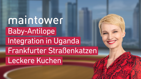 Themen sind: Baby-Antilope, Integration in Uganda, Frankfurter Straßenkatzen, Leckere Kuchen.