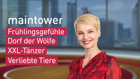 Moderatorin Susann Atwell sowie die Themen bei "maintower" am 23.02.2023: 