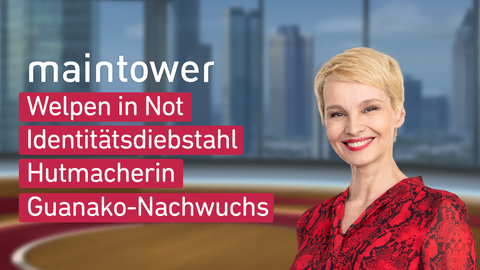 Moderatorin Susann Atwell sowie die Themen bei "maintower" am 24.03.2023: Welpen in Not, Identitätsdiebstahl, Hutmacherin