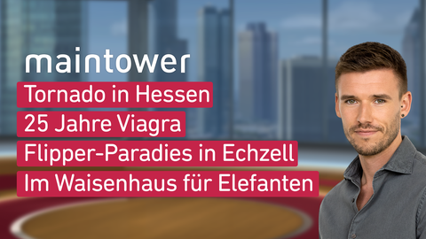 Moderator Marvin Fischer sowie die Themen bei "maintower" am 27.03.2023: Tornado in Hessen, 25 Jahre Viagra, Flipper-Paradies in Echtzeit, im Waisenhaus für Elefanten 