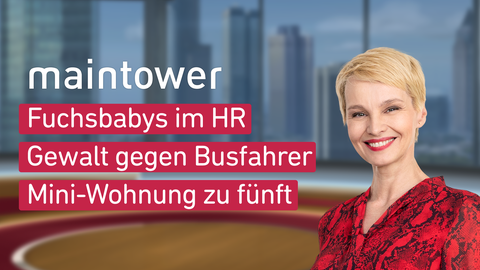 Moderatorin Susann Atwell sowie die Themen bei "maintower " am 19.05.2023: Fuchsbabys im HR, Gewalt gegen Busfahrer, Mini-Wohnung zu fünft 