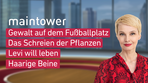 Moderatorin Susan Atwell sowie die Themen bei "maintower" am 31.05.2023: Gewalt auf dem Fußballplatz, Das Schreiebn der Pflanzen, Levi will leben, Haarige Beine