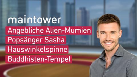 Moderator Marvin Fischer sowie die Themen bei "maintower" am 14.09.2023: Angebliche Alien-Mumien, Popsänger Sasha, Hauswinkelspinne, Buddhisten-Tempel