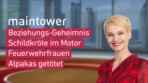 Moderatorin Susann Atwell sowie die Themen bei "maintower" am 25.09.2023: Beziehungs-Geheimnis, Schildkröte im Motor, Feuerwehrfrauen, Alpakas getötet