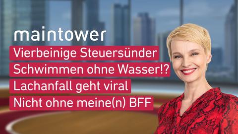 Moderatorin Susann Atwell sowie die Themen bei "maintower" am 27.09.2023: Vierbeinige Steuersünder, Schwimmen ohne Wasser?!, Lachanfall geht viral, Nicht ohne meine(e) BFF.