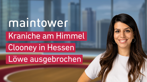 Moderatorin Mandana Bareh Foroush sowie die Themen bei"maintower" am 13.11.2023: Kraniche am Himmel, Clooney in Hessen, Löwe ausgebrochen