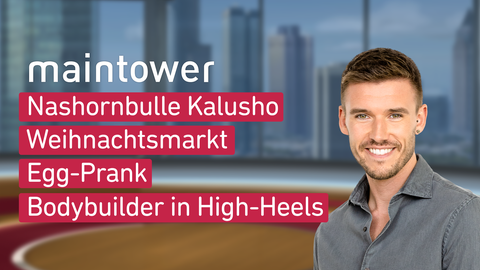 Moderator Marvin Fischer sowie die Themen bei "maintower" am 07.12.23: Nashornbulle Kalusho, Weihnachtsmarkt, Egg-Prank, Bodybuilder in High-Heels.