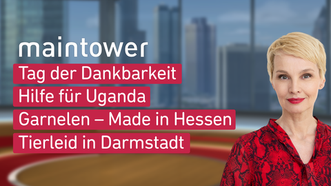 Moderatorin Susann Atwell sowie die Themen bei "maintower" am 21.09.2023: Tag der Dankbarkeit, Hilfe für Uganda, Garnelen – Made in Hessen, Tierleid in Darmstadt