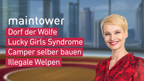 Moderatorin Susann Atwell sowie die Themen bei "maintower weekend" am 25.02.2023: Dorf der Wölfe, Lucky Girls Syndrome, Camper selber bauen, Illegale Welpen