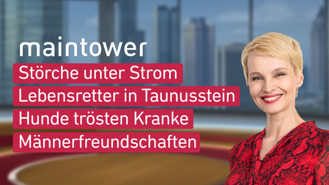 Moderatorin Susann Atwell sowie die Themen bei "maintower weekend " am 20.05.2023: Störche unter Strom, Lebensretter in Taunusstein, Hunde trösent Kranke, Männerfreundschaften 